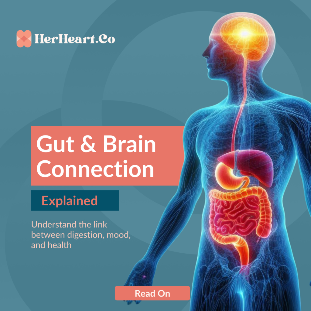 What is the gut and brain connection?